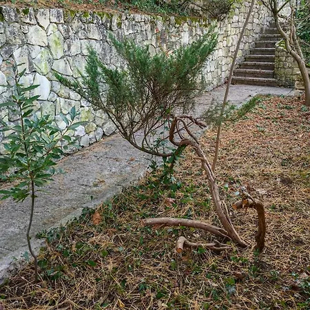 شقة Casa Delle Magnolie *